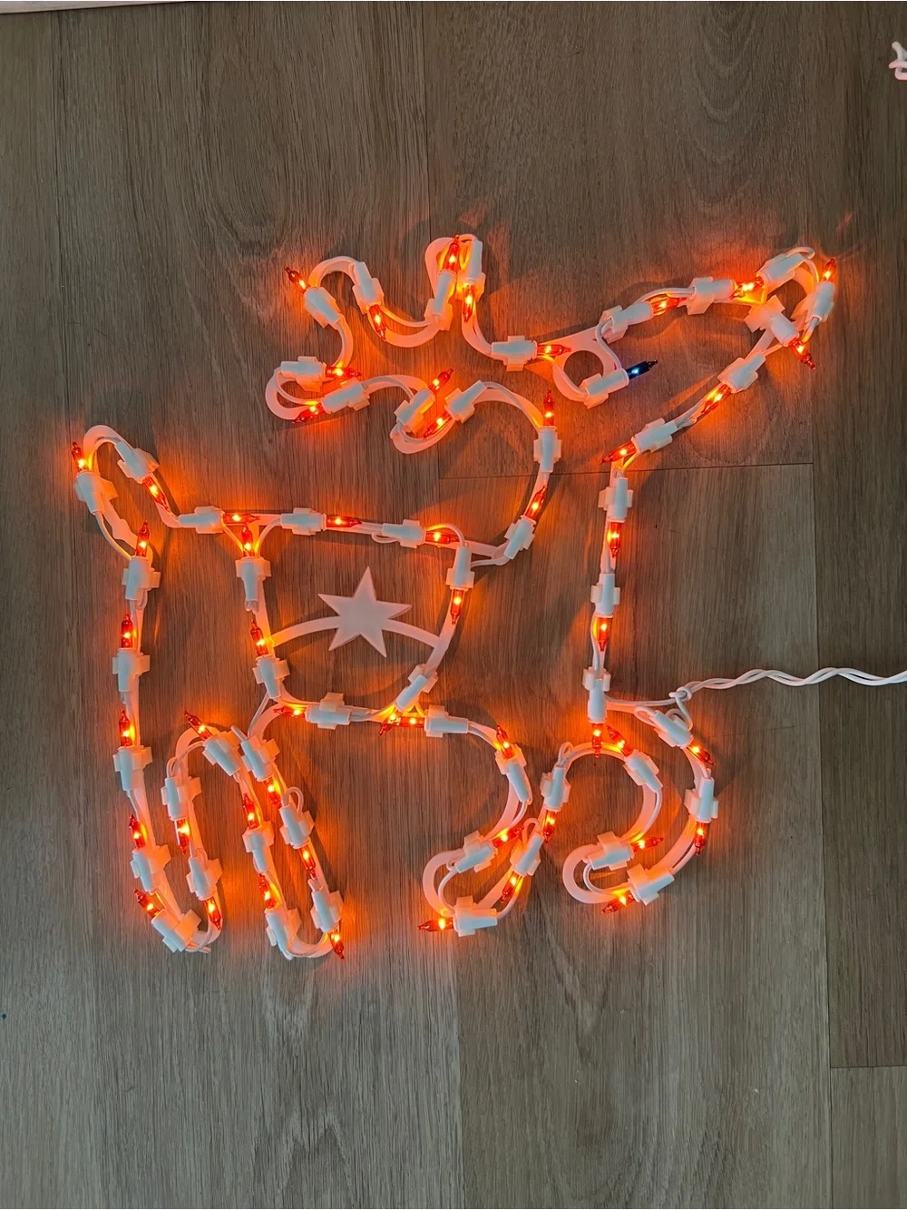 Red Light-Up Reindeer Accent Christmas Decor